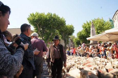 saint-remy-de-provence