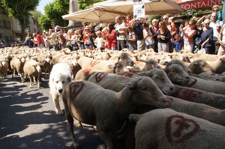saint-remy-de-provence