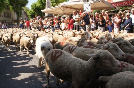 saint-remy-de-provence