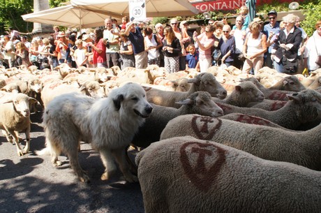 saint-remy-de-provence