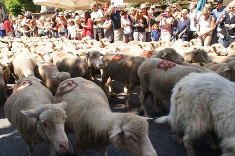 saint-remy-de-provence