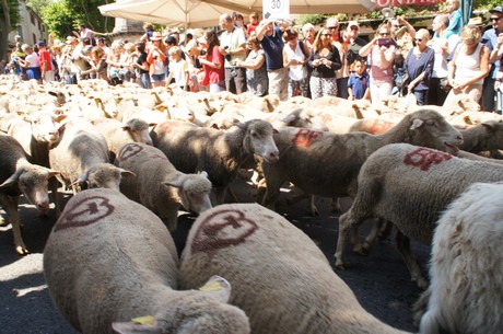 saint-remy-de-provence