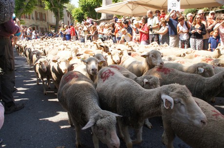 saint-remy-de-provence