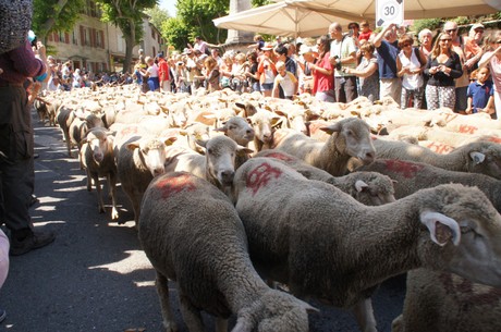 saint-remy-de-provence