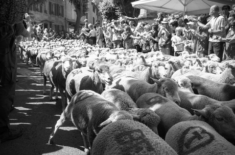 saint-remy-de-provence