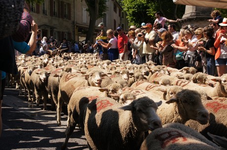 saint-remy-de-provence