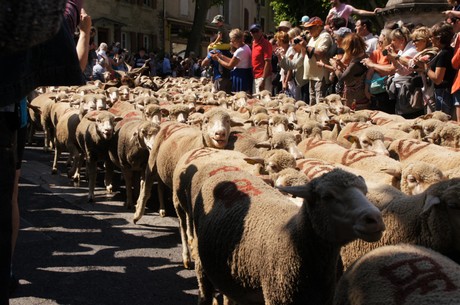 saint-remy-de-provence