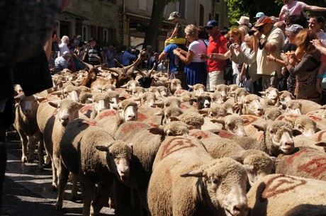saint-remy-de-provence