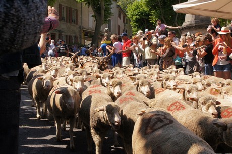 saint-remy-de-provence