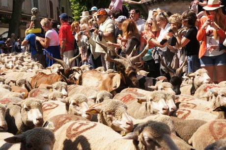 saint-remy-de-provence