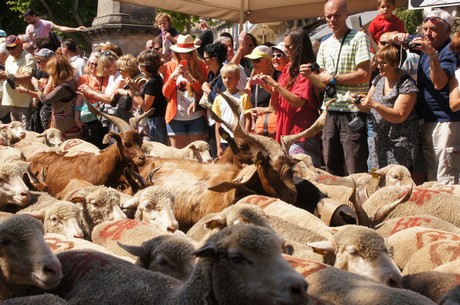 saint-remy-de-provence