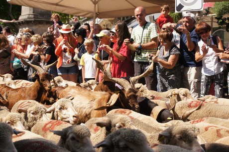 saint-remy-de-provence