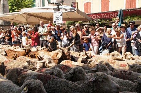 saint-remy-de-provence
