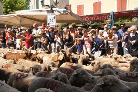 saint-remy-de-provence