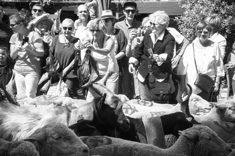 saint-remy-de-provence