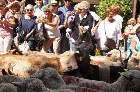 saint-remy-de-provence