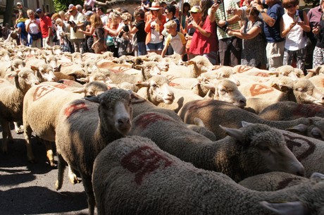 saint-remy-de-provence
