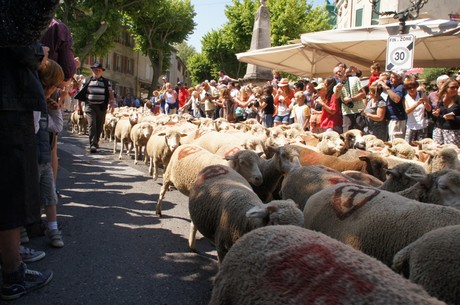 saint-remy-de-provence
