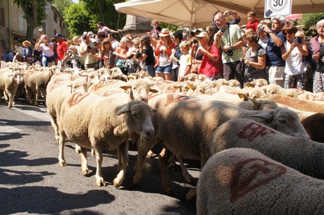 saint-remy-de-provence