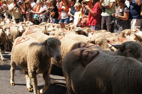 saint-remy-de-provence