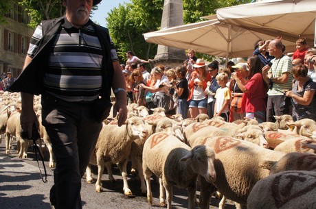 saint-remy-de-provence