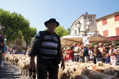 saint-remy-de-provence