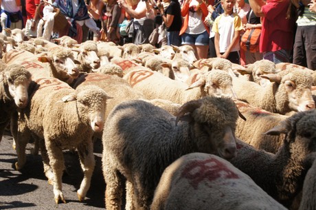saint-remy-de-provence