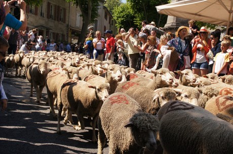 saint-remy-de-provence