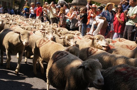 saint-remy-de-provence