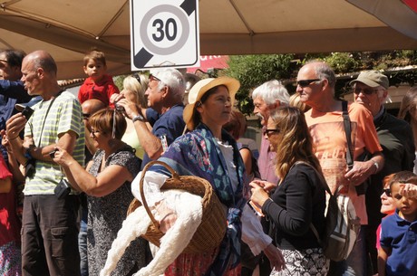 saint-remy-de-provence