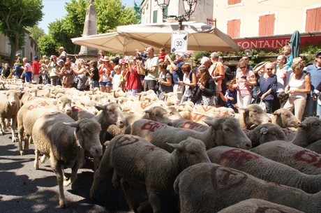 saint-remy-de-provence