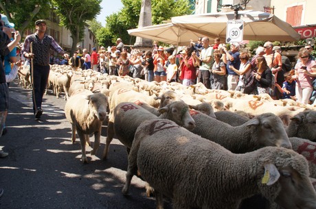 saint-remy-de-provence