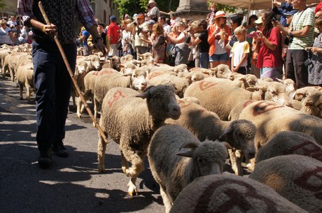 saint-remy-de-provence