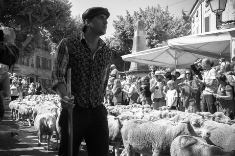 saint-remy-de-provence