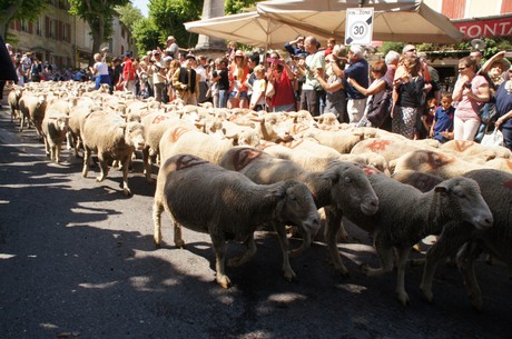 saint-remy-de-provence