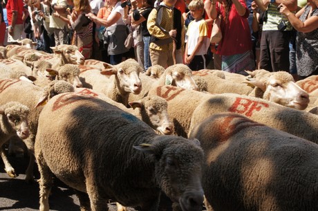 saint-remy-de-provence