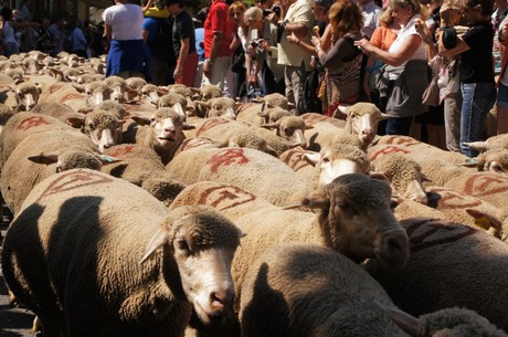 saint-remy-de-provence