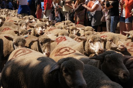 saint-remy-de-provence