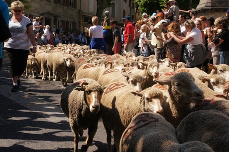 saint-remy-de-provence