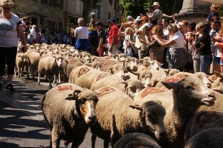 saint-remy-de-provence