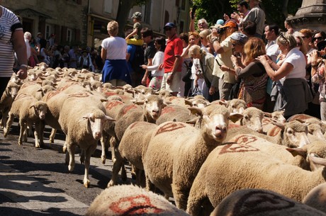 saint-remy-de-provence