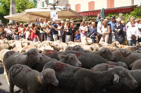 saint-remy-de-provence