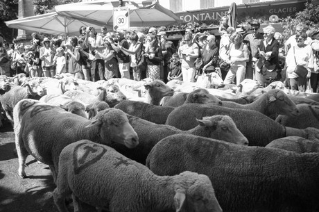 saint-remy-de-provence