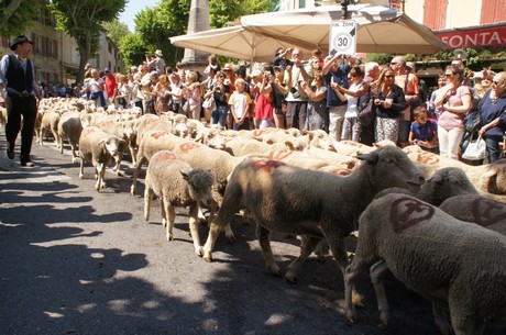 saint-remy-de-provence