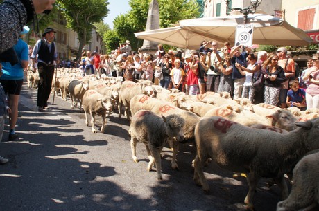 saint-remy-de-provence