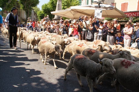 saint-remy-de-provence