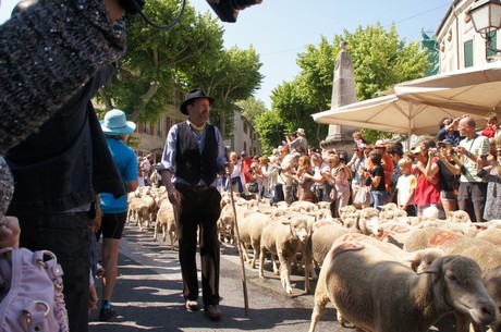 saint-remy-de-provence