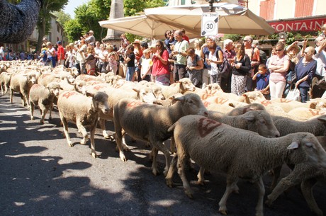 saint-remy-de-provence