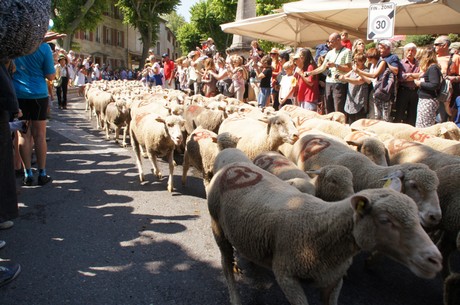 saint-remy-de-provence