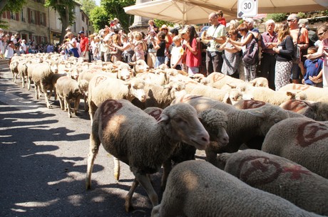 saint-remy-de-provence
